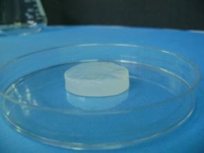 Pesquisadora cria material a base de celulose bacteriana para regenerar dentes
