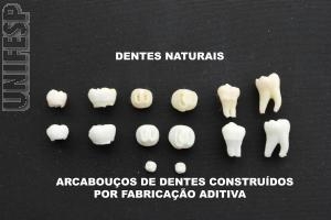 UNIFESP desenvolve modelo tridimensional de dente humano 