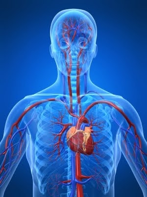 Endocardite bacteriana mata