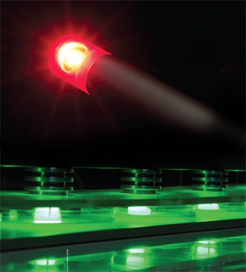 Avançam os estudos para uso de LEDs contra bactérias e fungos