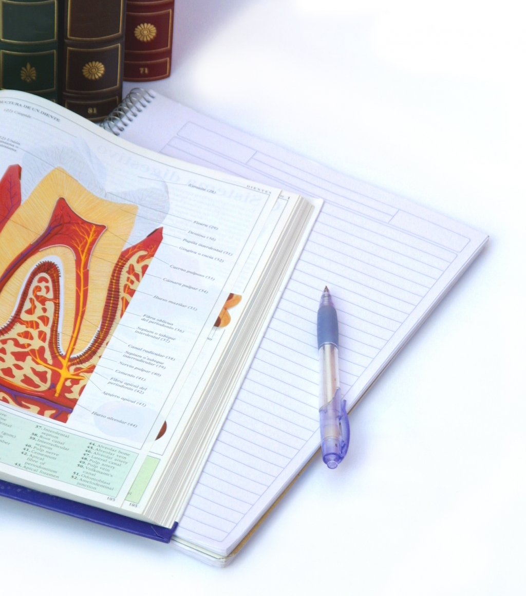 A MAXILLO FACIAL CENTER DIVULGA OS DETALHES E O CRONOGRAMA DO CURSO DE APERFEIÇOAMENTO EM CIRURGIA ORAL MENOR: