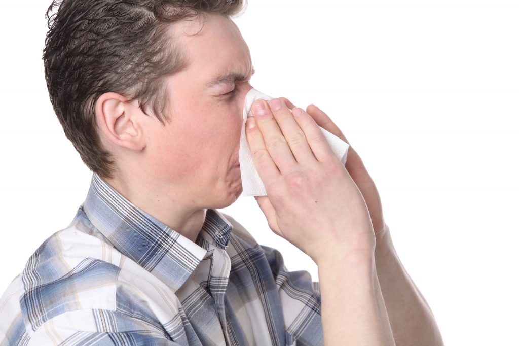 As alergias na Primavera